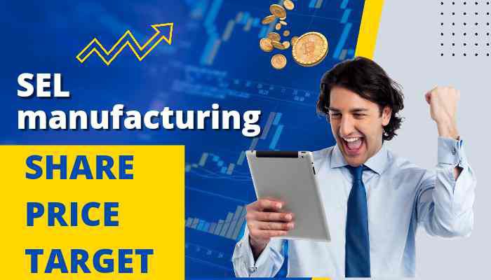 SEL manufacturing share price target 2023, 2024, 2025, 2030